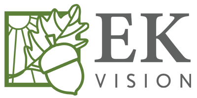 EK vision